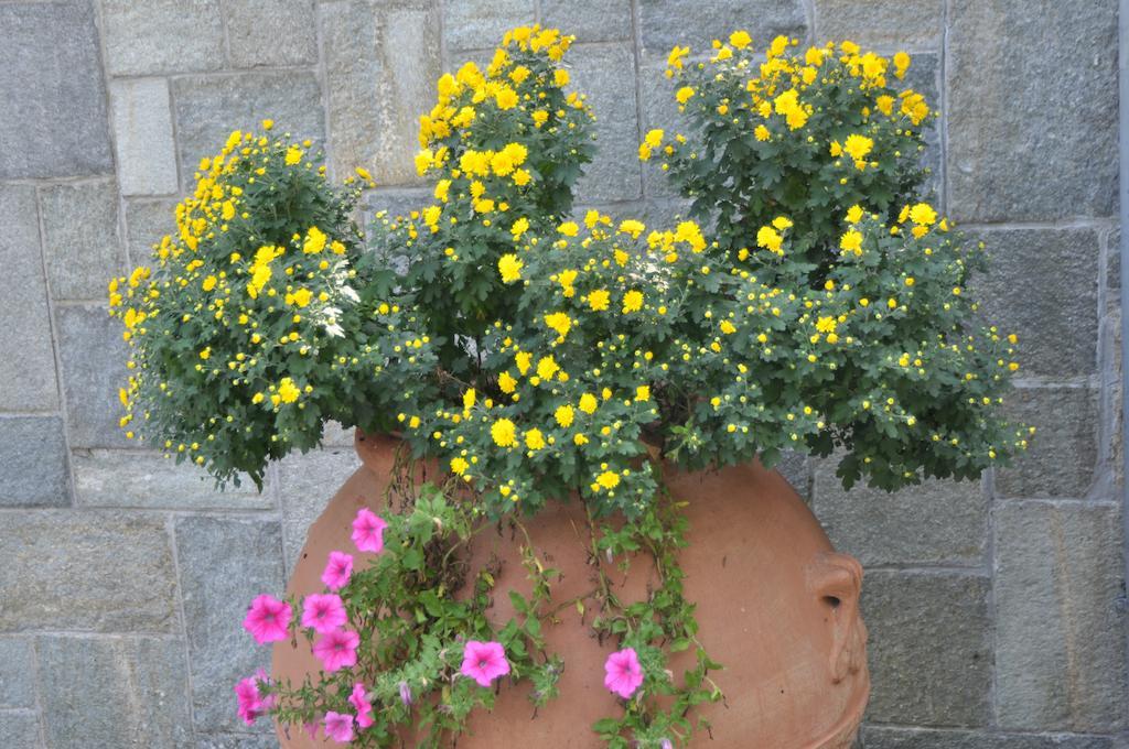 Caterina.C B&B Val della Torre Εξωτερικό φωτογραφία