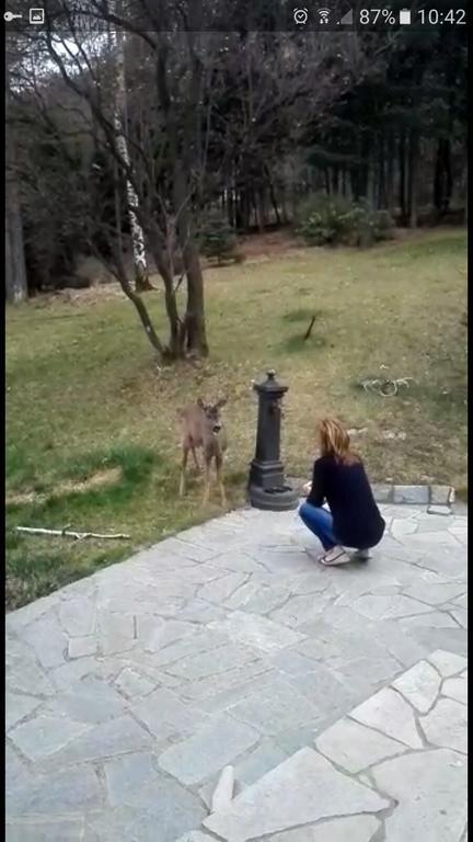 Caterina.C B&B Val della Torre Εξωτερικό φωτογραφία